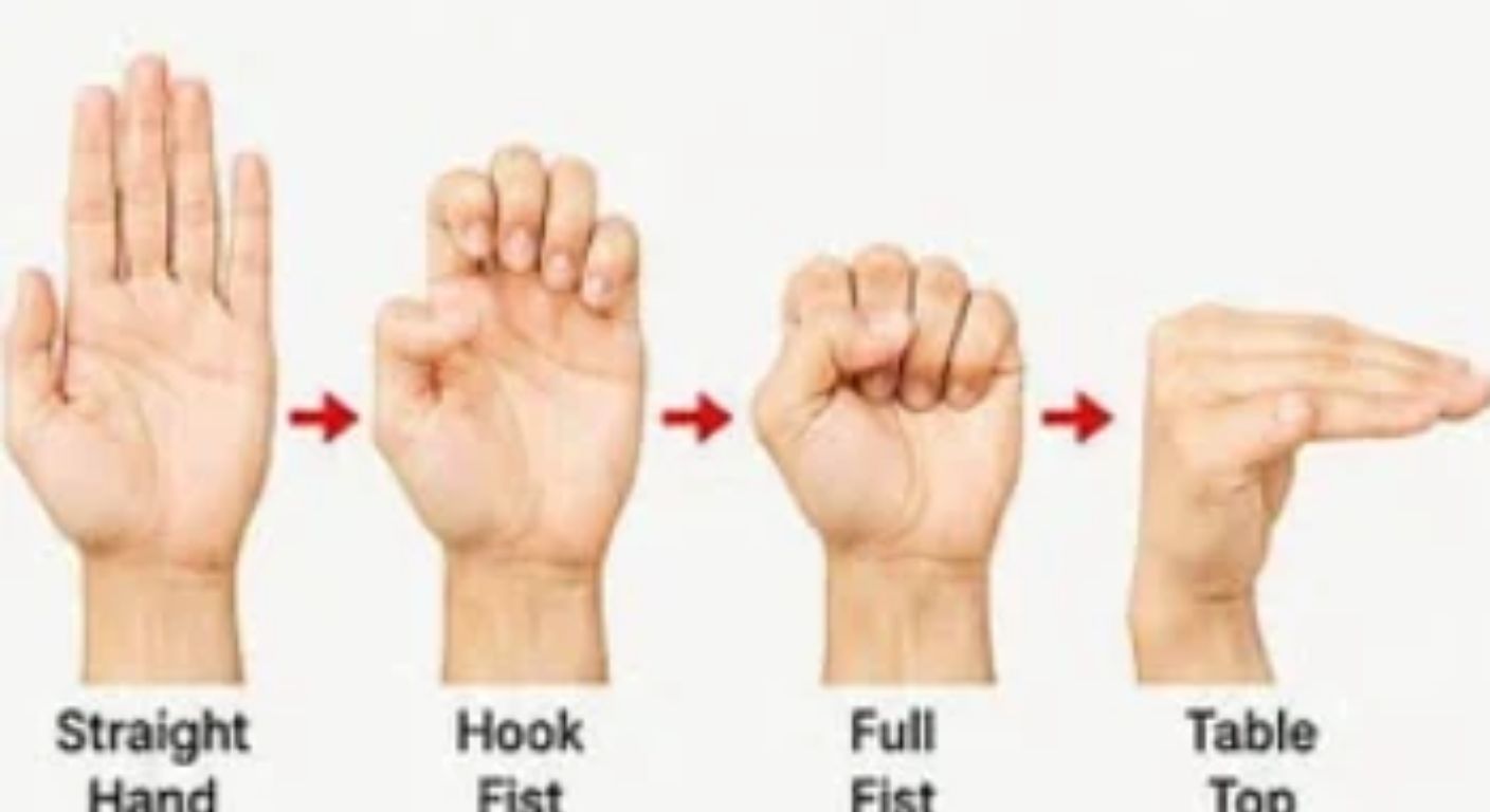 Tendon glide exercise: the five hand positions, straight hand, hook fist, tabletop, straight fist and full fist